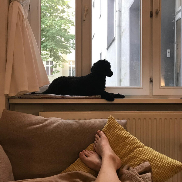 #she­might­beacat