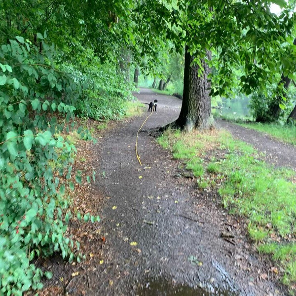 vom volks­park jung­fern­hei­de nach hau­se.