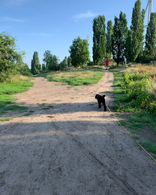 morgenspaziergang in der toskana. äh, vom mauerpark nach hause.