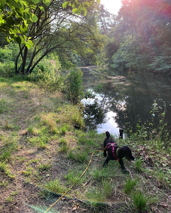 mal wie&shy;der vom schloss&shy;park char&shy;lot&shy;ten&shy;burg nach hau&shy;se ge&shy;lau&shy;fen (7,5 km)