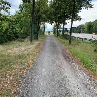 heute mit frida vom wedding zum ZOB gelaufen. sehr schön auch der lietzensee park in charlottenburg.