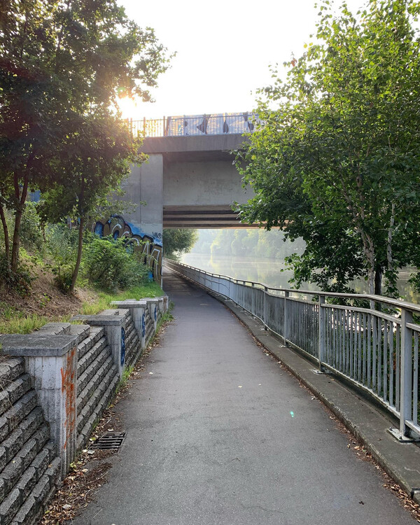 heu­te früh vom volks­park jung­fern­hei­de nach hau­se. per­fek­tes wet­ter.