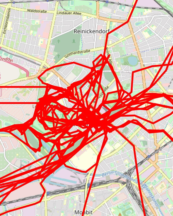 ein mo­nat be­we­gungs­da­ten mit hund. im schnitt 11 km/tag ge­hen.