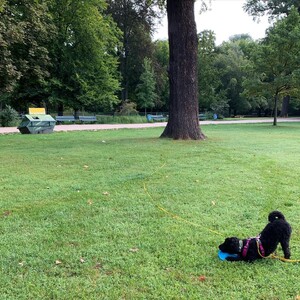 Photo by felix schwenzel in Bürgerpark Pankow. Keine Fotobeschreibung verfügbar..