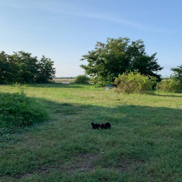 vor ein paar ta­gen auf dem tem­pel­ho­fer feld. denkt man gar nicht, dass es da auch so ku­sche­lig sein kann.