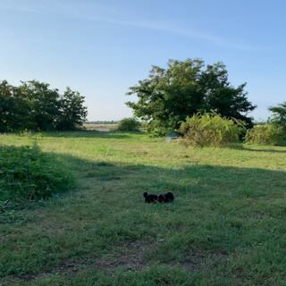 vor ein paar tagen auf dem tempelhofer feld. denkt man gar nicht, dass es da auch so kuschelig sein kann.