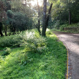 schottisches traumwelten in den rehbergen.
