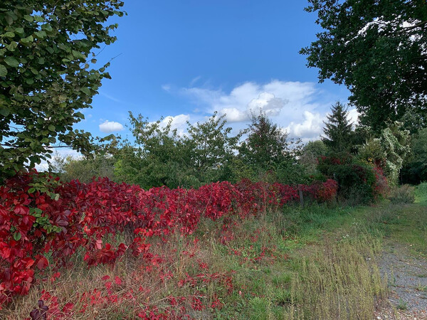 schon auch herbst­lich