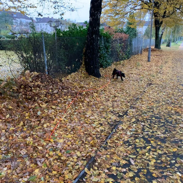 im herbst l&auml;sst sich der fut&shy;ter&shy;beu&shy;tel am bes&shy;ten ver&shy;ste&shy;cken. #na&shy;sen&shy;ar&shy;beit