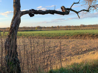 Photo by felix schwenzel on November 09, 2021. Keine Fotobeschreibung verfügbar..