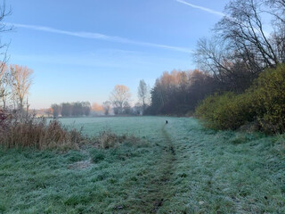 erster bodenfrost heute früh.