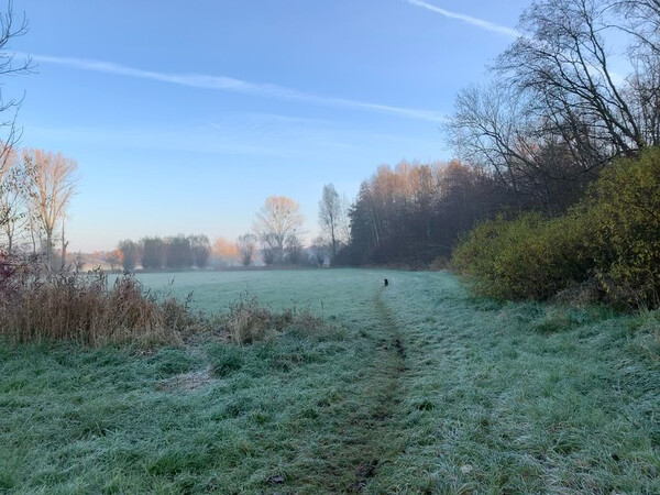 ers&shy;ter bo&shy;den&shy;frost heu&shy;te fr&uuml;h.