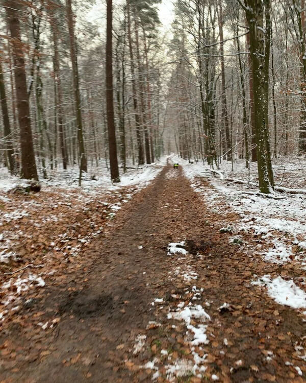 te­ge­ler frost.