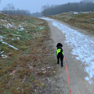 „abend“-spaziergang in der döberitzer heide.