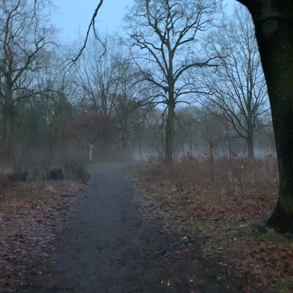 war neb&shy;lig heu&shy;te fr&uuml;h.