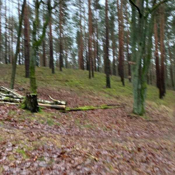men­schen­leer, warm und wun­der­schön heu­te früh.