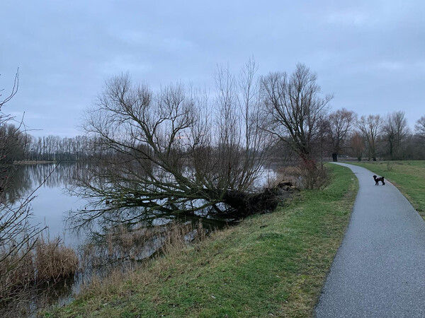 im­mer wie­der schön am müh­len­see — und ma­ren gil­zer will bür­ger­meis­te­rin von ober­krä­mer wer­den.