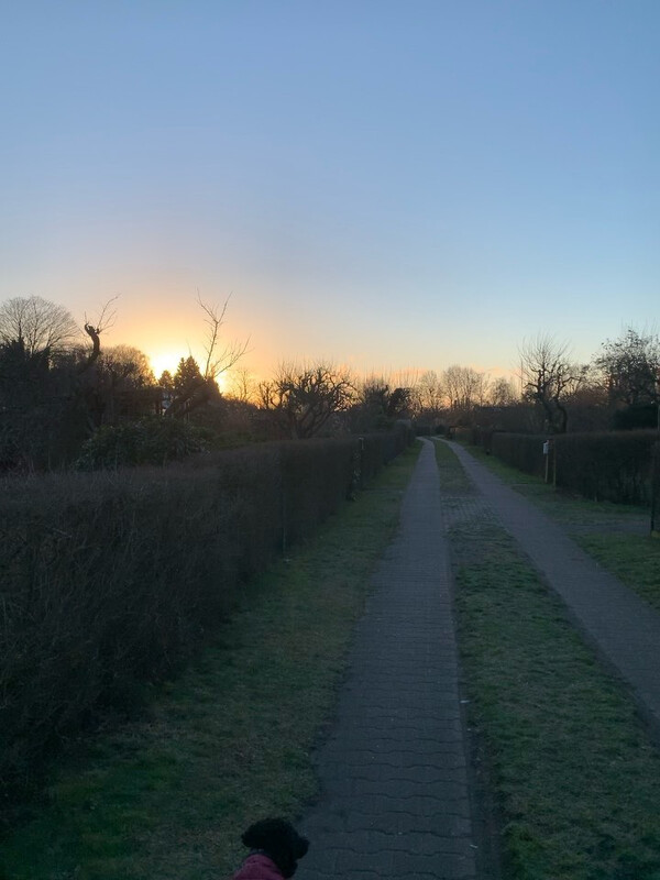son­nig-kalt heu­te, so vie­le leu­te ohne hund um 8:30 uhr un­ter­wegs wie sonst nie.
