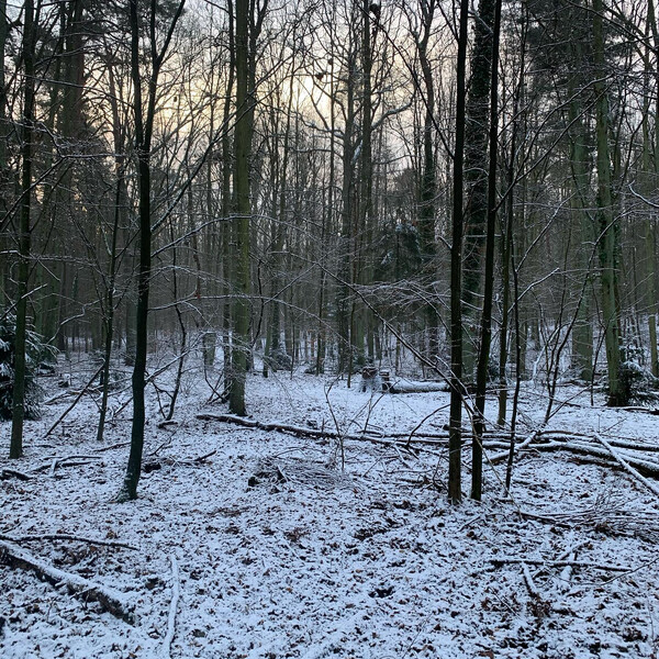 heu­te schnee.