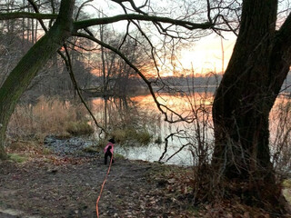 morgens am summter see.