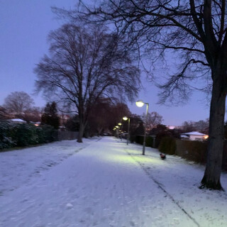 frida hat sich wie eine schneekönigin über den schnee gefreut.