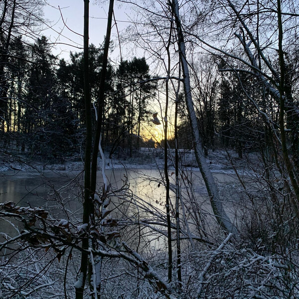 fri&shy;da hat sich wie eine schnee&shy;k&ouml;&shy;ni&shy;gin &uuml;ber den schnee ge&shy;freut.
