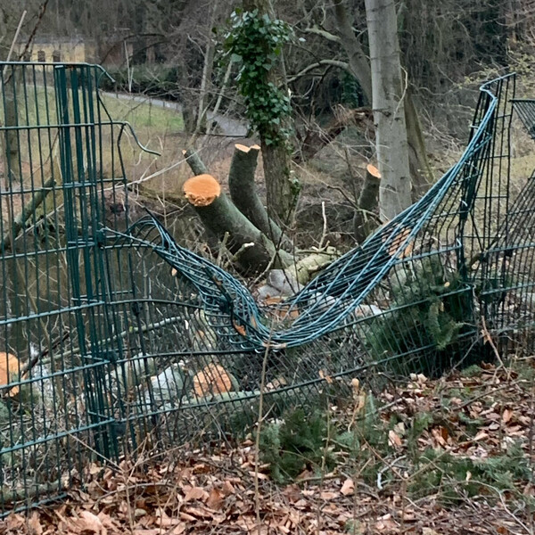 der baum als bild­hau­er.