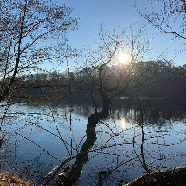 er­staun­lich schön am schlach­ten­see , aber am fei­er­tag, früh mor­gens auch sehr vie­le jog­ger. in ner stun­de …