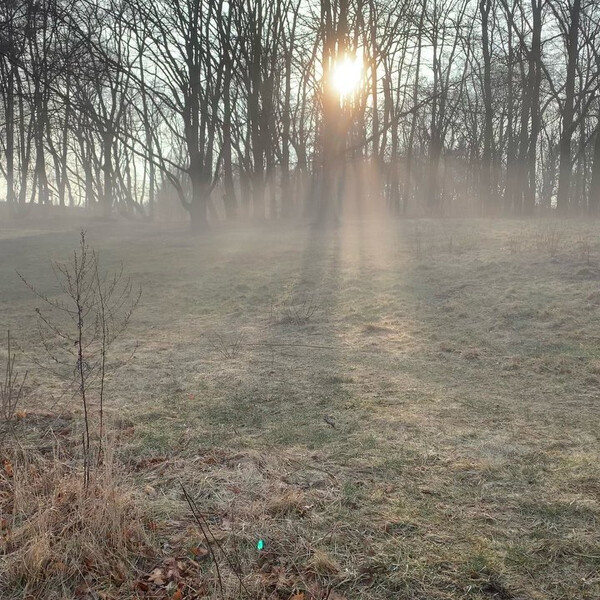 jetzt is­ses mor­gens wie­der ro­man­tisch in den reh­ber­gen.