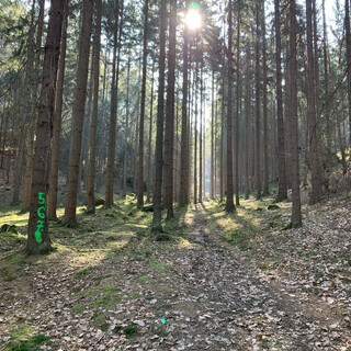 Photo by felix schwenzel on March 27, 2022. Keine Fotobeschreibung verfügbar..