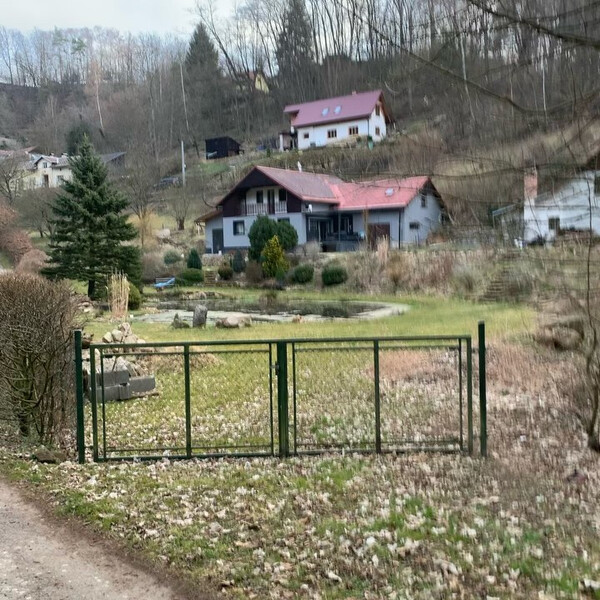tsche­chi­sche dach­zie­ge.