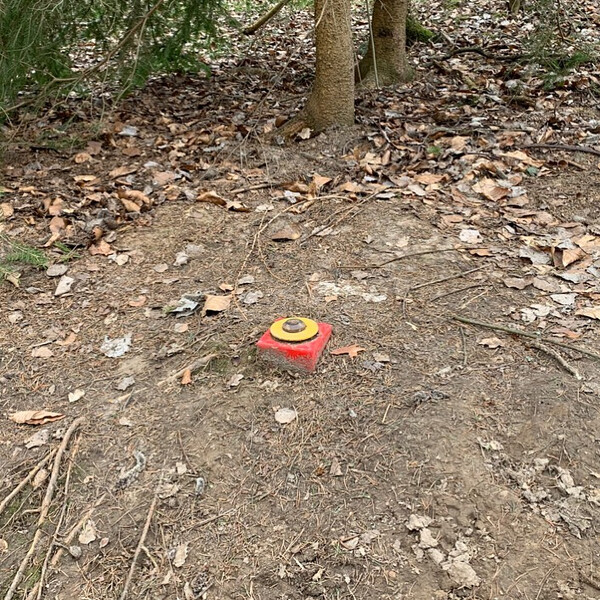 ge­nau mein hu­mor: not-aus schal­ter mit­ten im wald.