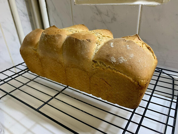 ber­li­ner toast­brot nach dem ploetz­blog. irre fein­po­rig ob­wohl nur 5 gramm hefe drin sind. kein glanz weil kein …