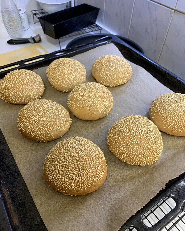 bur­ger buns, schön auf­ge­gan­gen und su­per le­cker. lei­der aus­er­se­hen mit qui­noa statt se­sam 🙈