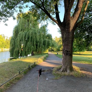 Photo by felix schwenzel in Berlin-Charlottenbourg. Keine Fotobeschreibung verfügbar..