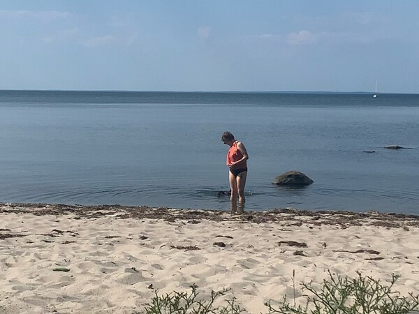 🏖
