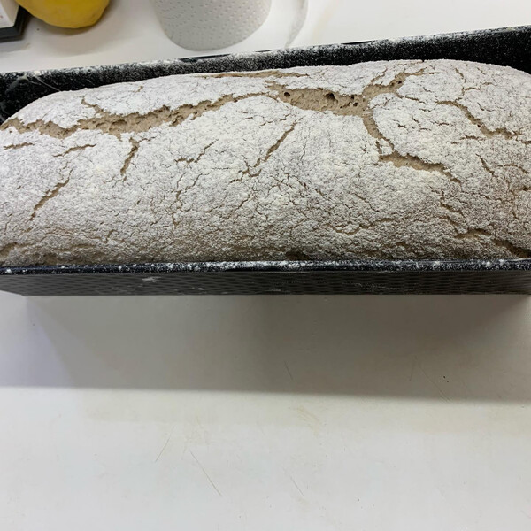der sau&shy;er&shy;teig hat&shy;te heu&shy;te et&shy;was bes&shy;se&shy;re lau&shy;ne, des&shy;halb war das ko&shy;sa&shy;ken&shy;brot heu&shy;te zum fr&uuml;h&shy;st&uuml;ck ne num&shy;mer &hellip;