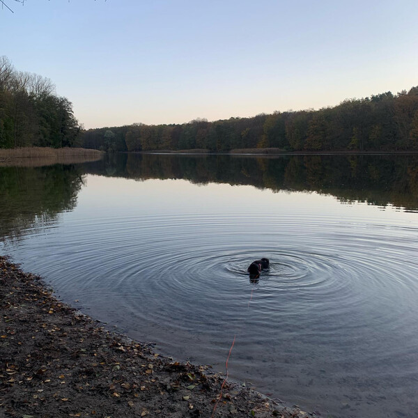 drei tage ur­laub und ich gehe mei­ner lieb­lings­be­schäf­ti­gung nach: wie ein hund le­ben; mor­gens früh raus und …