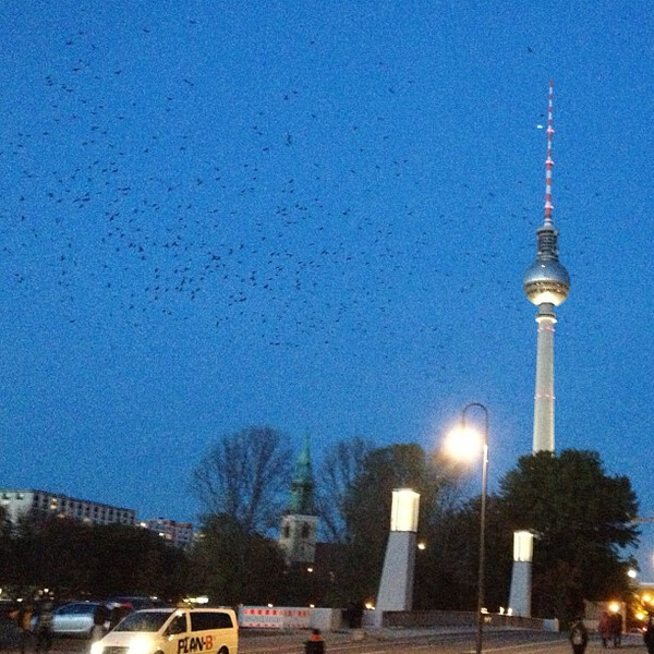 kr&auml;&shy;hen&shy;schwarm