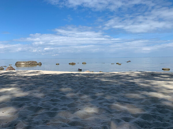 letz&shy;ten sonn&shy;tag am hun&shy;de&shy;strand lub&shy;min