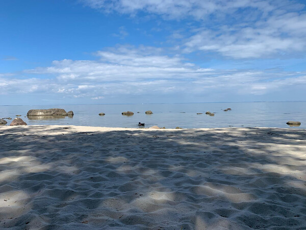 letz­ten sonn­tag am hun­de­strand lub­min