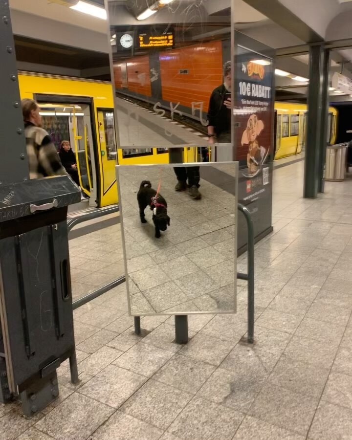 Video-Poster