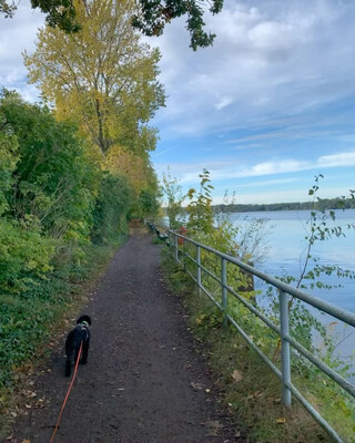 6 kilometer am tegeler see ufer gelaufen. dabei über „unterordnung“ und „führung“ nachgedacht. ich …