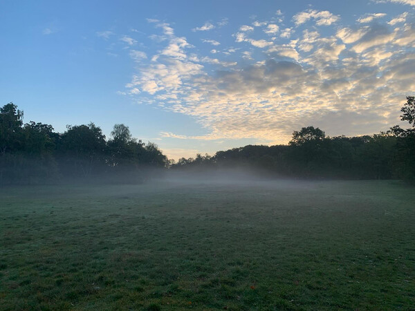 schön ne­be­lig in den reh­ber­gen heu­te früh.