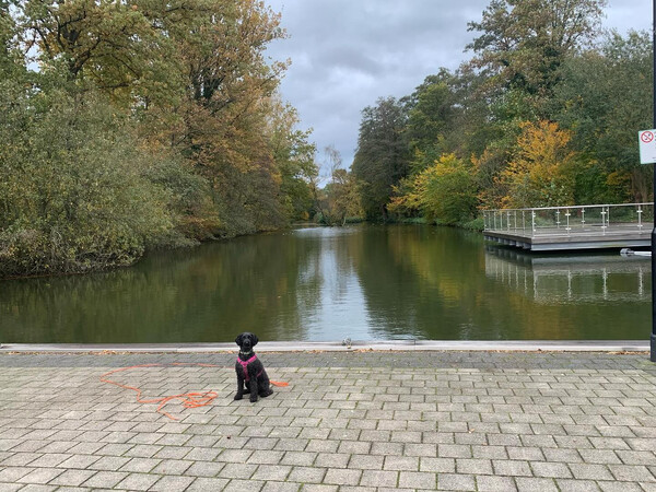 schön hier. (in gan­gelt, vlo­drop und kar­ken).