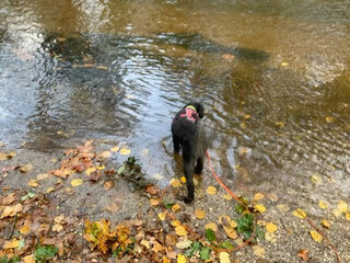 nett hier an der schwalm