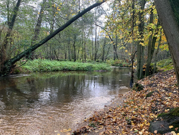nett hier an der schwalm