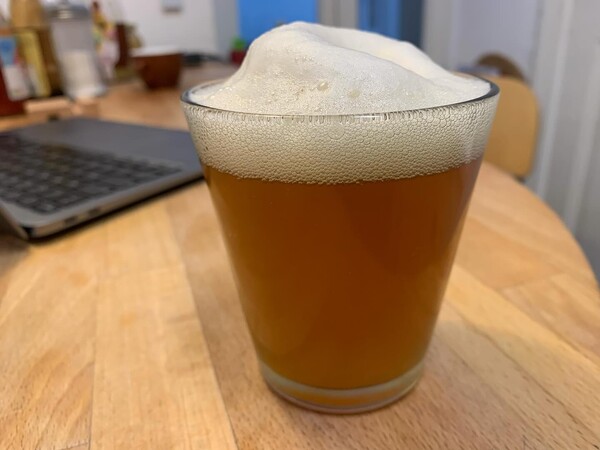 schö­ne kro­ne, der selbst­ge­brau­te kom­bu­cha.