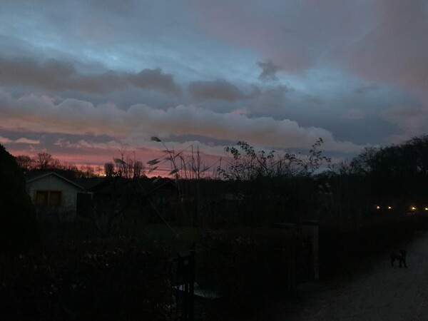 wie­der zu­hau­se und fri­da meint sie kann noch­mal die sau ein biss­chen raus­las­sen. am deich sind wir ger­ne vor …