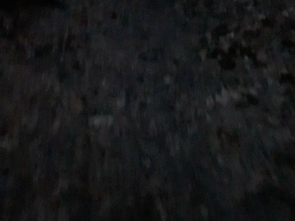 Video-Poster